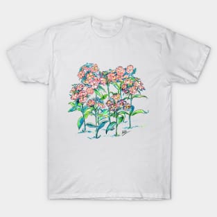 Sweet Williams Flowers color pencil T-Shirt